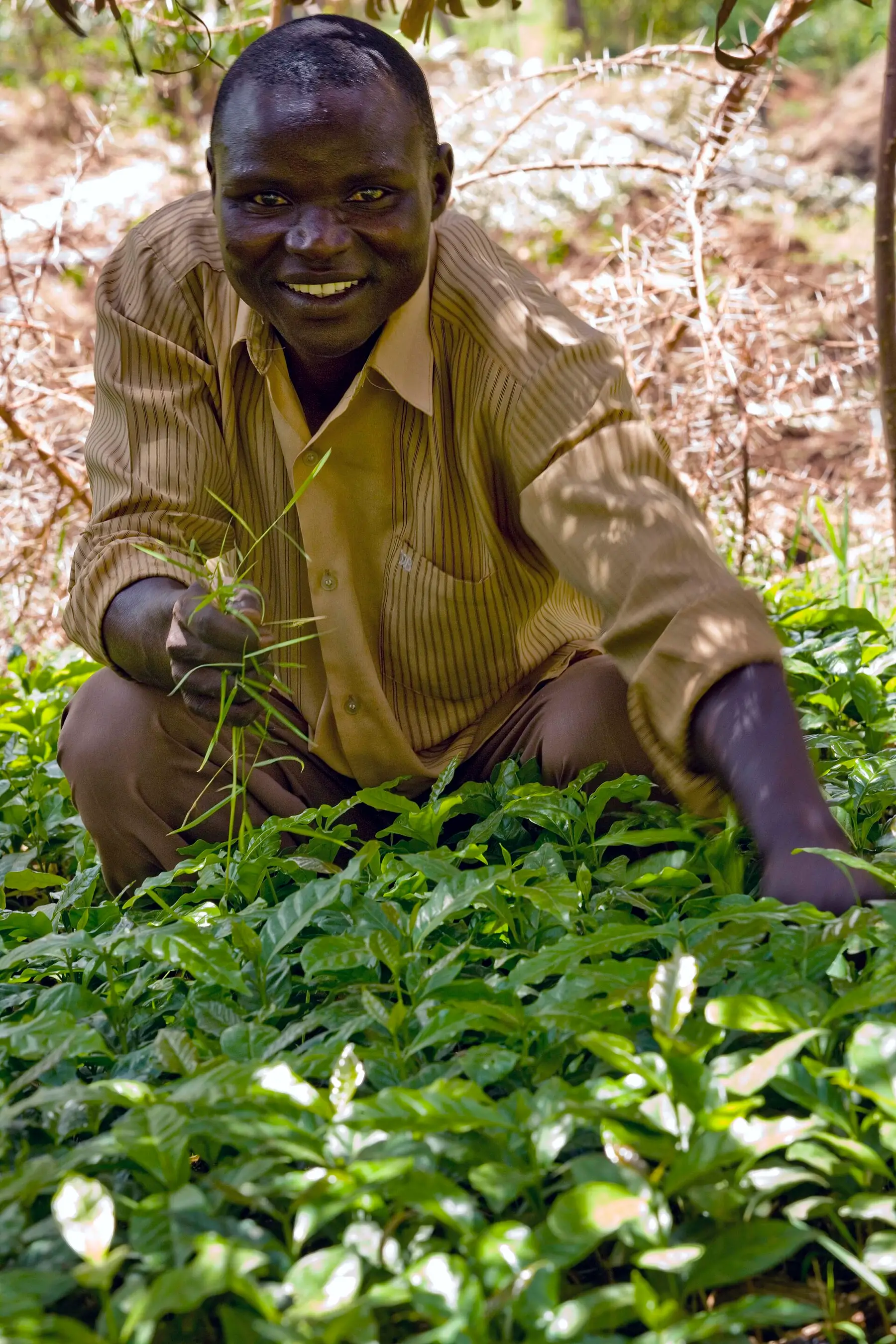 Close view of hands working soil on a smallholder farm plot