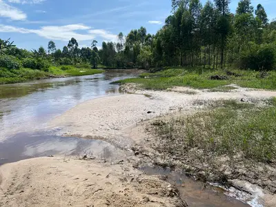 Pale sand deposits built up in the bed of the River Rwizi beside green bank vegetation