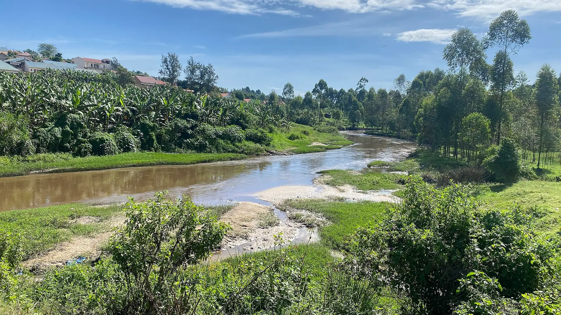 Wide view of green vegetation surrounding the River Rwizi in Mbarara