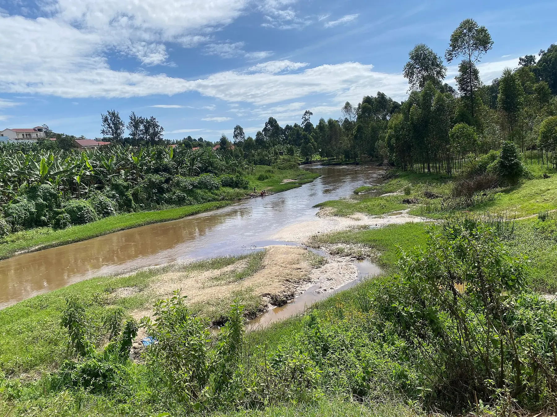 Green vegetation growing thickly along the banks of the River Rwizi